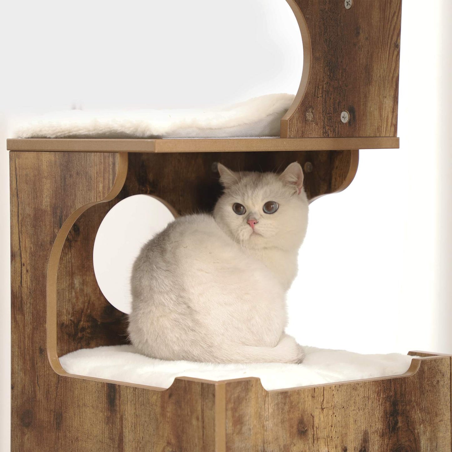 92 cm, Cat Tree, Medium Cat Tower with 3 Beds, Cat Activity Centre, Cat Condo Made, Rustic Brown and White, FEANDREA, 1
