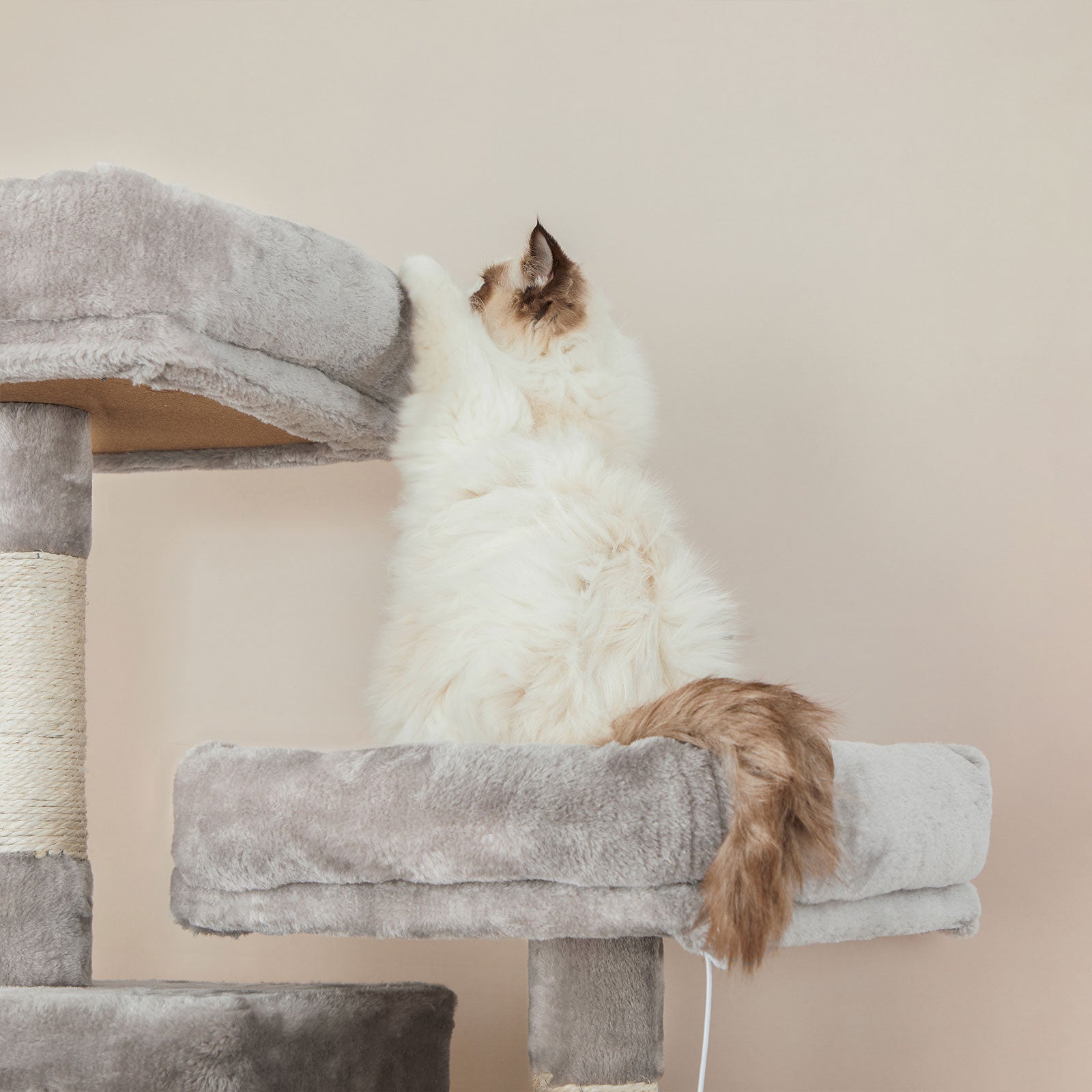 Cat Tree, Cat Tower for Indoor Cats, Cat Condo, Cat Bed Furniture, Kittens Activity Center, Cat Furniture, 6